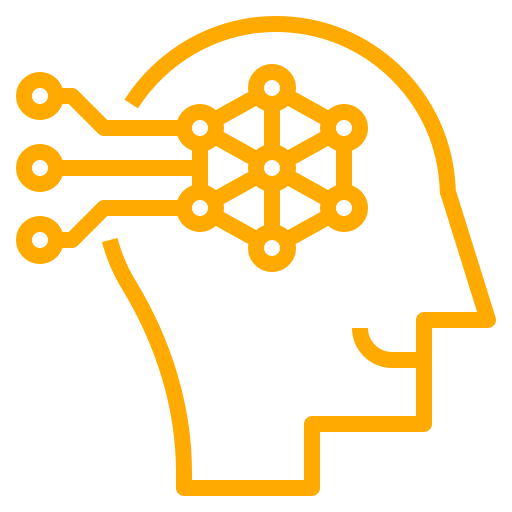Accelerated Learning Practitioner